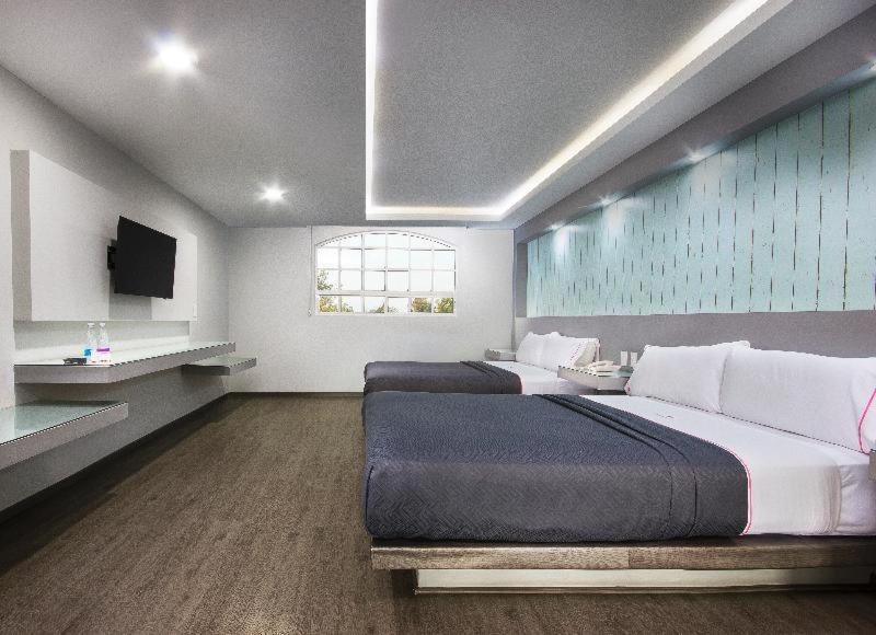 Hotel Mx Congreso Meksyk Pokój zdjęcie